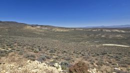 Eagle Energy public listing could be held up by shutdown: CEO