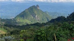 JV article: Tiger Gold developing Colombia’s next gold mine