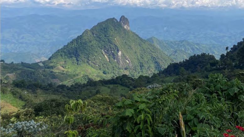 JV article: Tiger Gold developing Colombia’s next gold mine