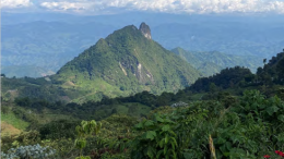 JV article: Tiger Gold developing Colombia’s next gold mine