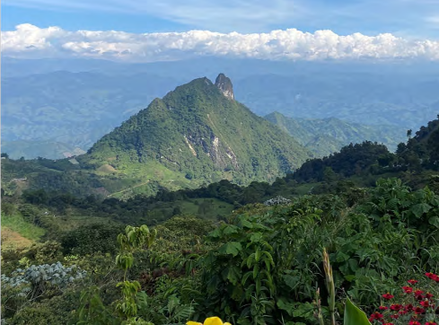 JV article: Tiger Gold developing Colombia’s next gold mine