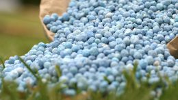 Potassium sulphate from Potash