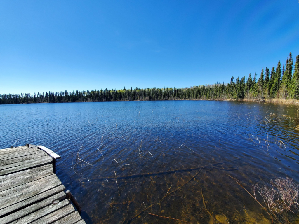Trident’s gold assays reveal ex-Cameco site’s promise in Saskatchewan where yellow metal is often outshone