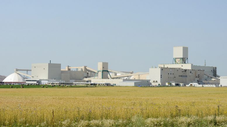 Nutrien freezes potash output ramp up, US ammonia project on weak market