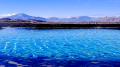 China’s grip on lithium to hit 39% by 2030: WoodMac