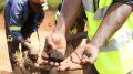 DRC probes how 5,000 tonnes of uranium 'leaked' into cobalt exports