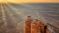 Saudi Arabia touts 110 million tonnes of uranium-bearing ore find
