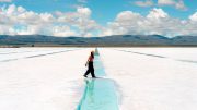 UK scientists turn to biology to unlock cleaner lithium