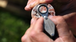 Volta doubles Springer rare earths, eyes 2027 study